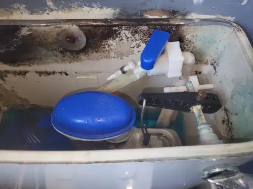 Click Here To Enlarge This Photo Of Toilet Upgrade In Nottingham - Dudley Push Button Flush Installation